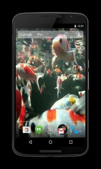 Imagen 0 para Koi HD Video Live Wallpap…