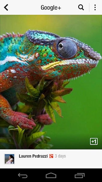 Imagen 0 para Flipboard: News For Any T…