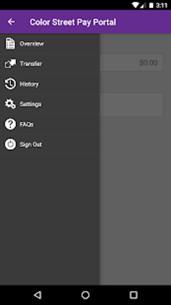 Image 2 for Color Street Pay Portal