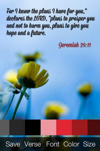 Image 0 for Script - Bible Verse Wall…