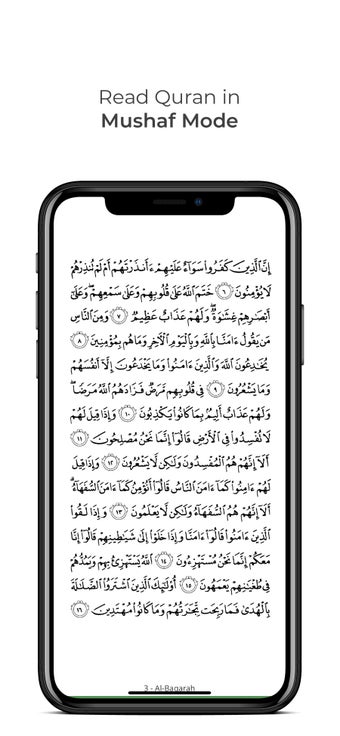Image 0 for Al Quran (Tafsir & by Wor…