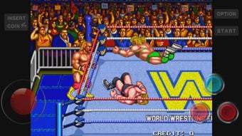 Image 0 for WWF WrestleFest