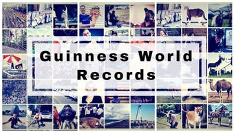 Imagen 0 para Guinness World Records Li…