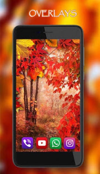 Imagen 3 para Autumn Rain live wallpape…