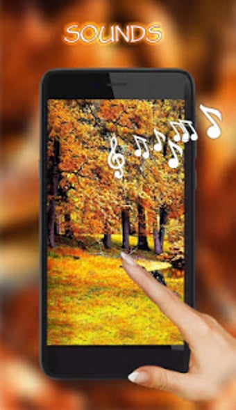 Imagen 0 para Autumn Rain live wallpape…