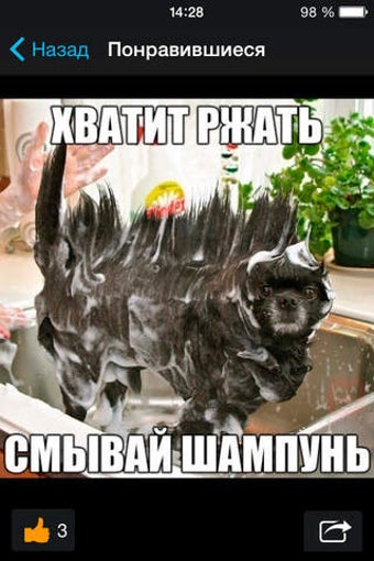 Image 0 for ( Gif A )