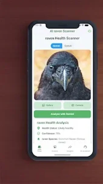 Image 0 for AI Raven Scanner