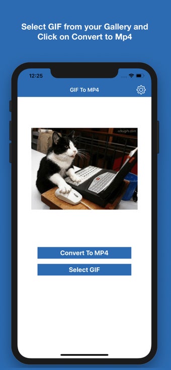 Image 1 for GIF to Mp4