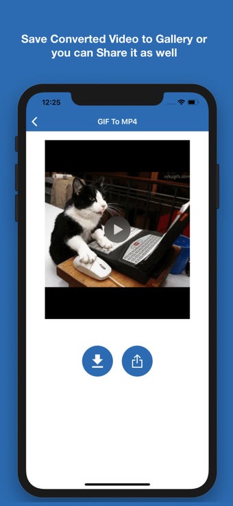 Image 2 for GIF to Mp4