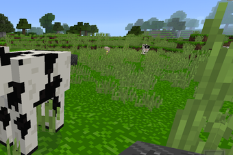 Imagen 2 para Minicraft 2020