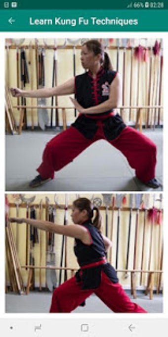Image 0 for Learn Kung Fu at Home Ste…