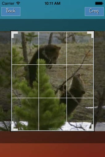 Image 0 for Video Resize