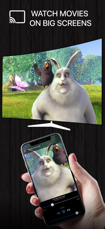 Image 0 for Streamer for Chromecast