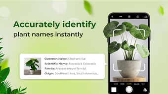 Image 0 for PlantId: Identifier  Care