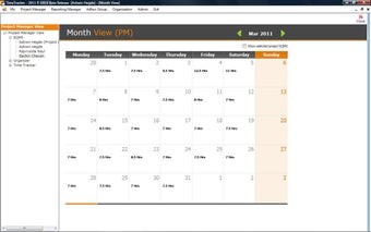 Image 3 for TimeTracker Professional …