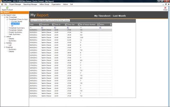 Image 1 for TimeTracker Professional …