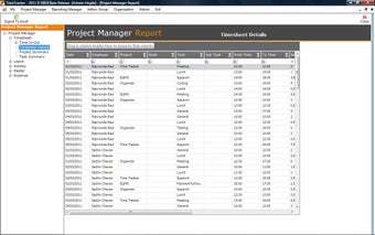 Image 7 for TimeTracker Professional …