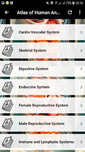 Imagen 0 para Atlas of Human Anatomy Of…