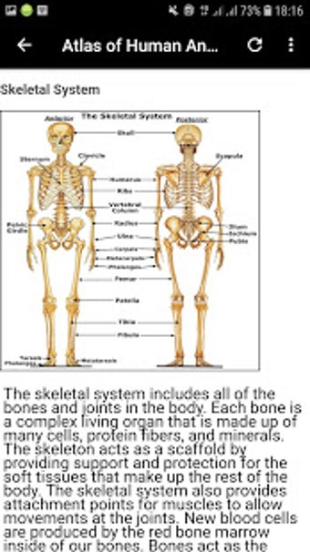 Imagen 2 para Atlas of Human Anatomy Of…