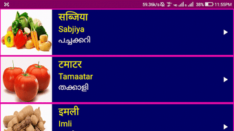 Imagen 0 para Learn Hindi from Malayala…