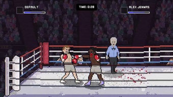 Image 0 for Bruisers 2D Boxing