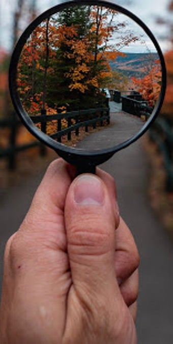 Image 2 for Magnifying Glass Text Zoo…