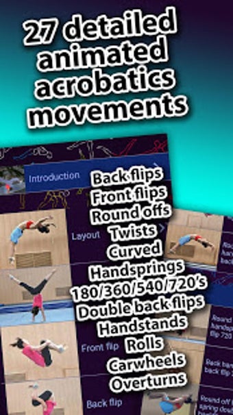 Image 1 for Acrobatics