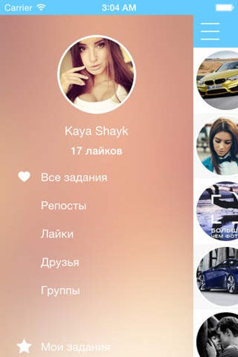 Image 0 for (VK) - anyLike