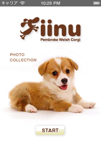 Imagen 0 para Look!PembrokeWelshCorgi