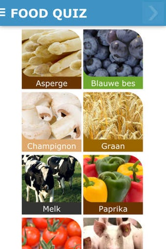 Imagen 0 para CITAVERDE Food Quiz