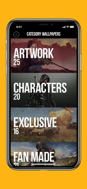 Image 1 for WALLS FOR PUBG