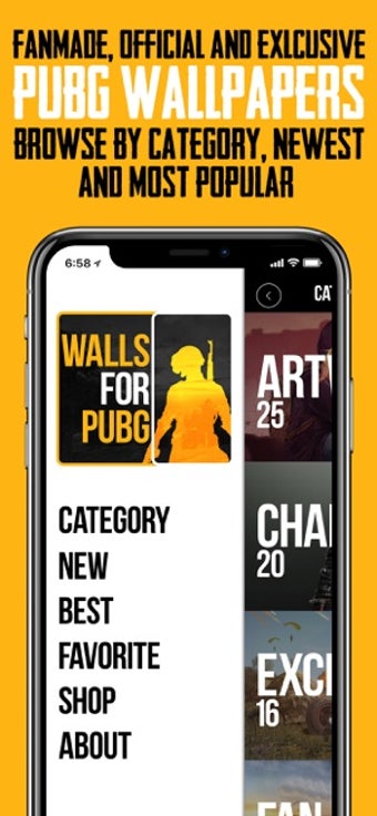 Image 0 for WALLS FOR PUBG