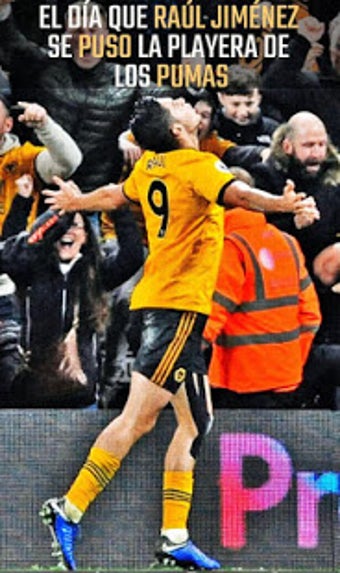 Imagen 0 para Fan App Wolves Wallpaper