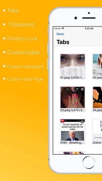 Image 0 for Secret Browser