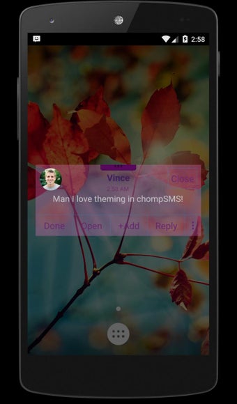 Image 2 for Delight Theme (chomp)
