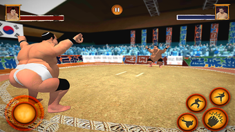 Image 2 for Sumo Wrestling Fighting G…