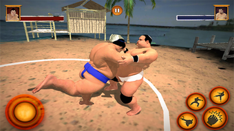 Imagen 2 para Sumo Wrestling Fighting G…