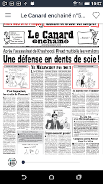 Imagen 0 para LE CANARD ENCHAINE