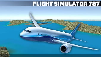 Image 2 for Flight Simulator 787