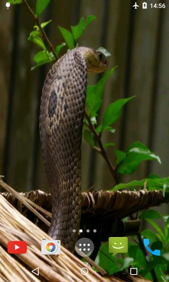 Imagen 0 para Cobra Video Live Wallpape…
