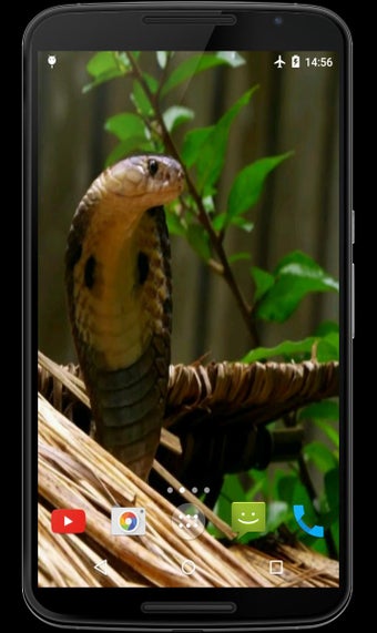 Imagen 1 para Cobra Video Live Wallpape…