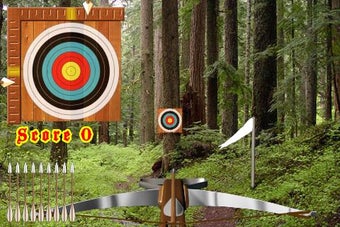 Imagen 2 para Crossbow Shooting