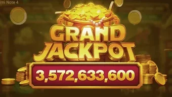 Image 0 for Domino RP X8 Speeder Guid…