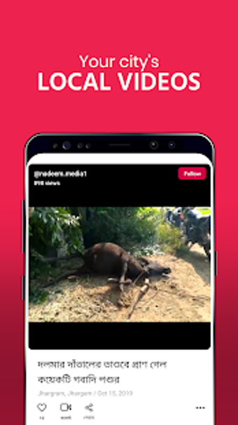 Imagen 2 para Public - Local Videos (Be…