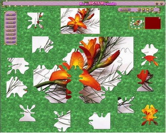Imagen 0 para Real Jigsaw Puzzle