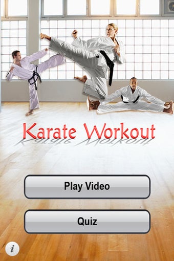 Imagen 2 para Karate Workout