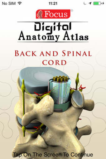 Image 0 for Back and Spinal Cord - Th…