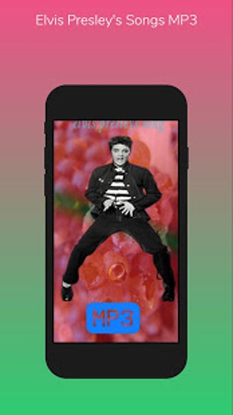 Image 1 for elvis presley songs mp3