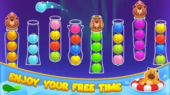 Image 0 for Cute Capybara Sort