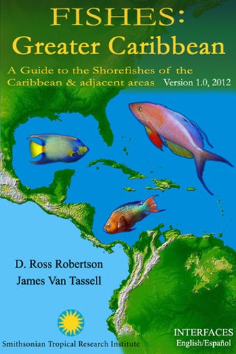 Image 2 for Fishes: Greater Caribbean